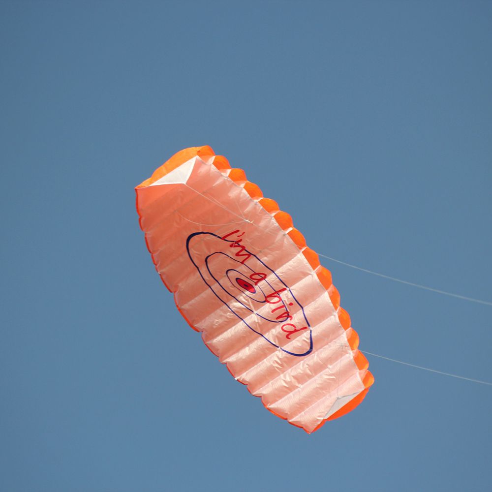 1.4m Colorful Double Flying Line Wing Kite Stunt Power Kite