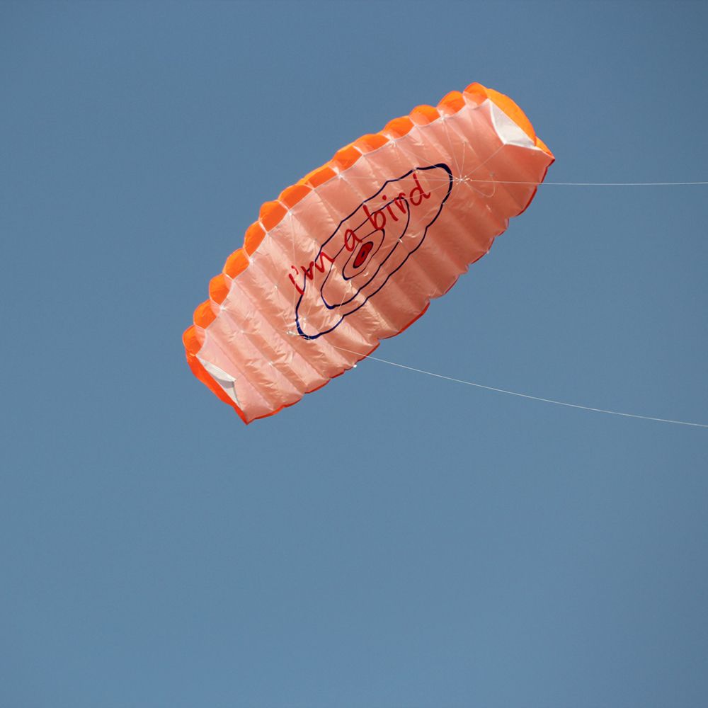 1.4m Colorful Double Flying Line Wing Kite Stunt Power Kite