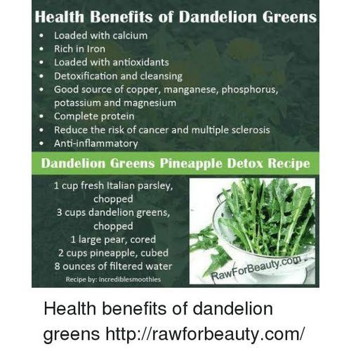 Organic Dandelion Leaves - 100g