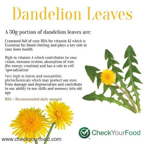 Organic Dandelion Leaves - 100g