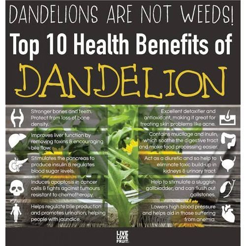 Organic Dandelion Leaves - 100g