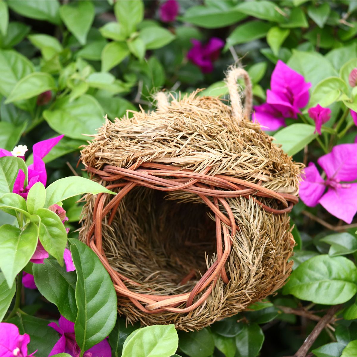 Factory Spot Bird Nest Wholesale Cross-border Hand-woven