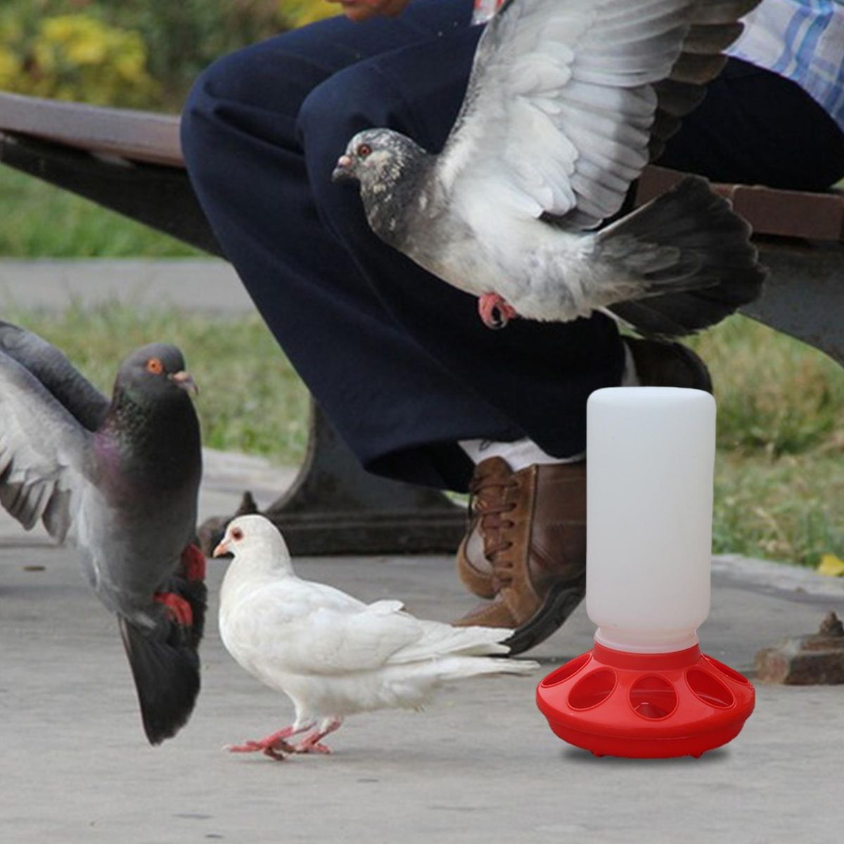Durable Chicken Feeder Feather-friendly Poultry Feeders 2 Pack Red