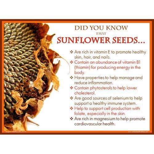 Organic Sunflower Seeds - 100g
