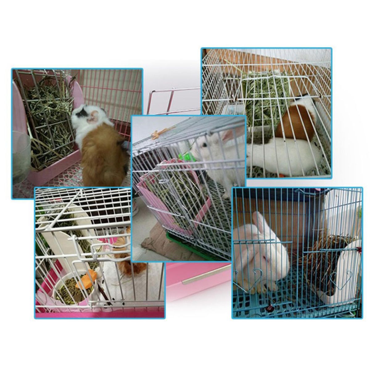 Hanging , Food Bowl, Hay Holder, Food Dispenser, White