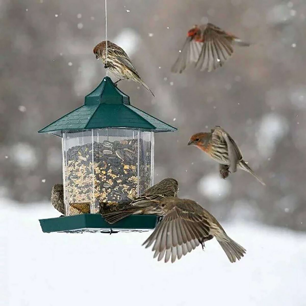 Plastic Hanging Bird Food Container Waterproof Outdoor