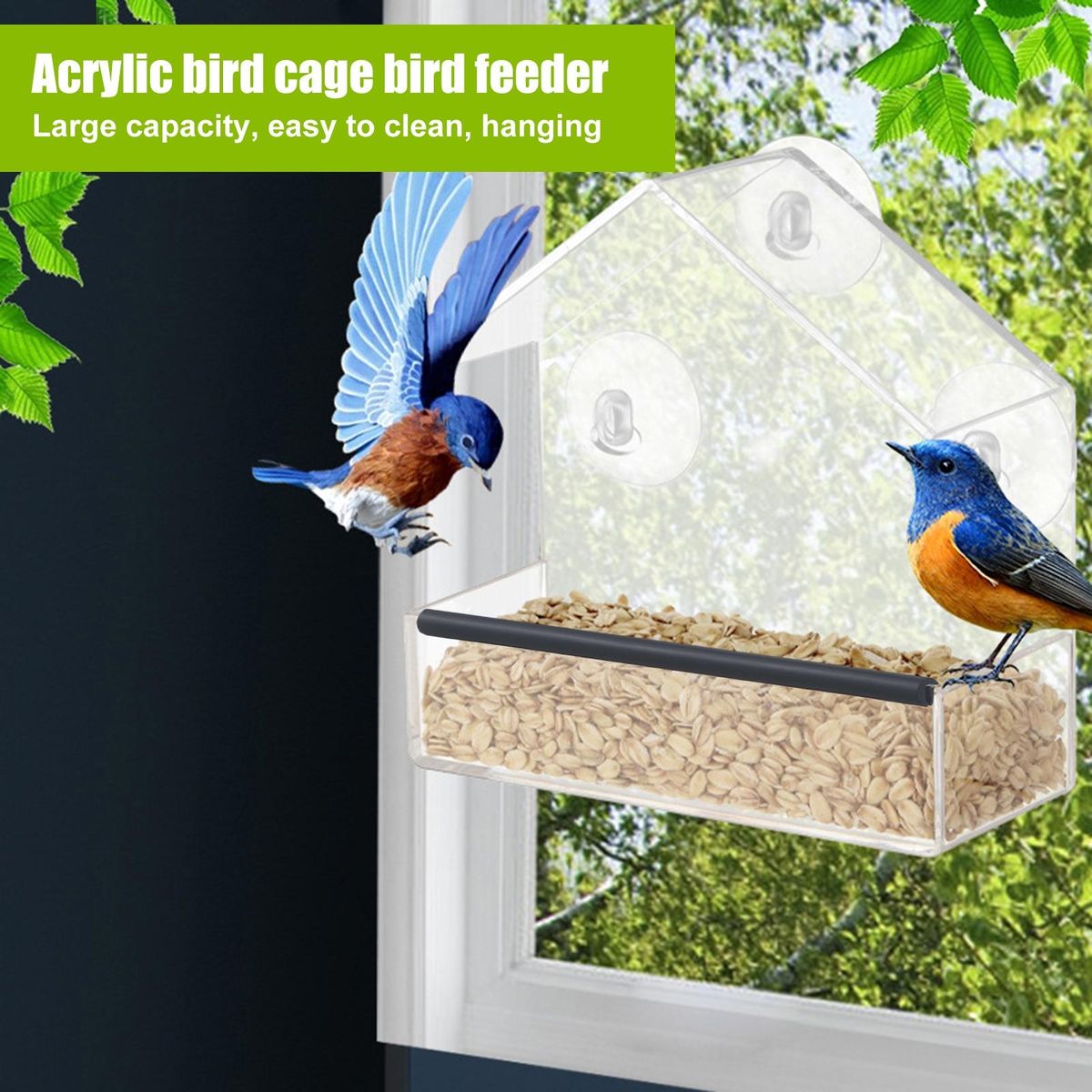 Stain-resistant Bird Feeder View Bird Feeder Easy-clean Acrylic Strong Clear