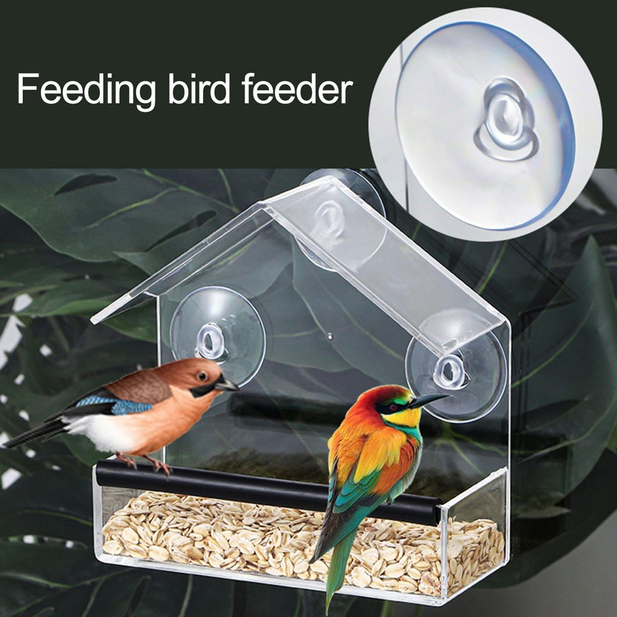 Stain-resistant Bird Feeder View Bird Feeder Easy-clean Acrylic Strong Clear
