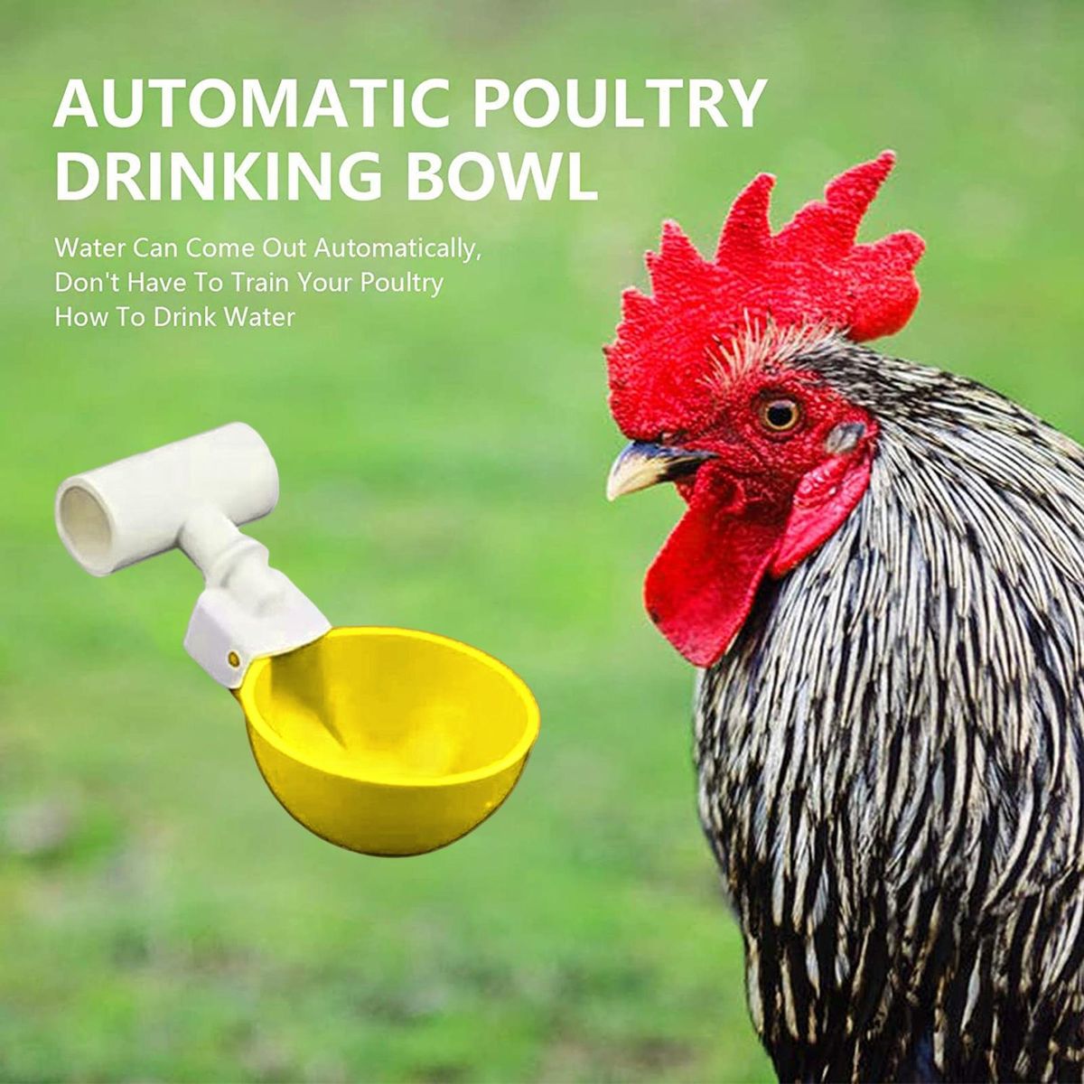 5Pcs Chicken Waterer Large Automatic Chicken Waterer Cup Yellow