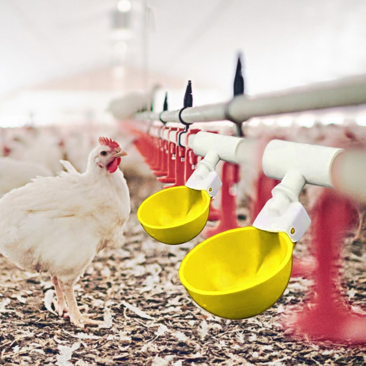 5Pcs Chicken Waterer Large Automatic Chicken Waterer Cup Yellow