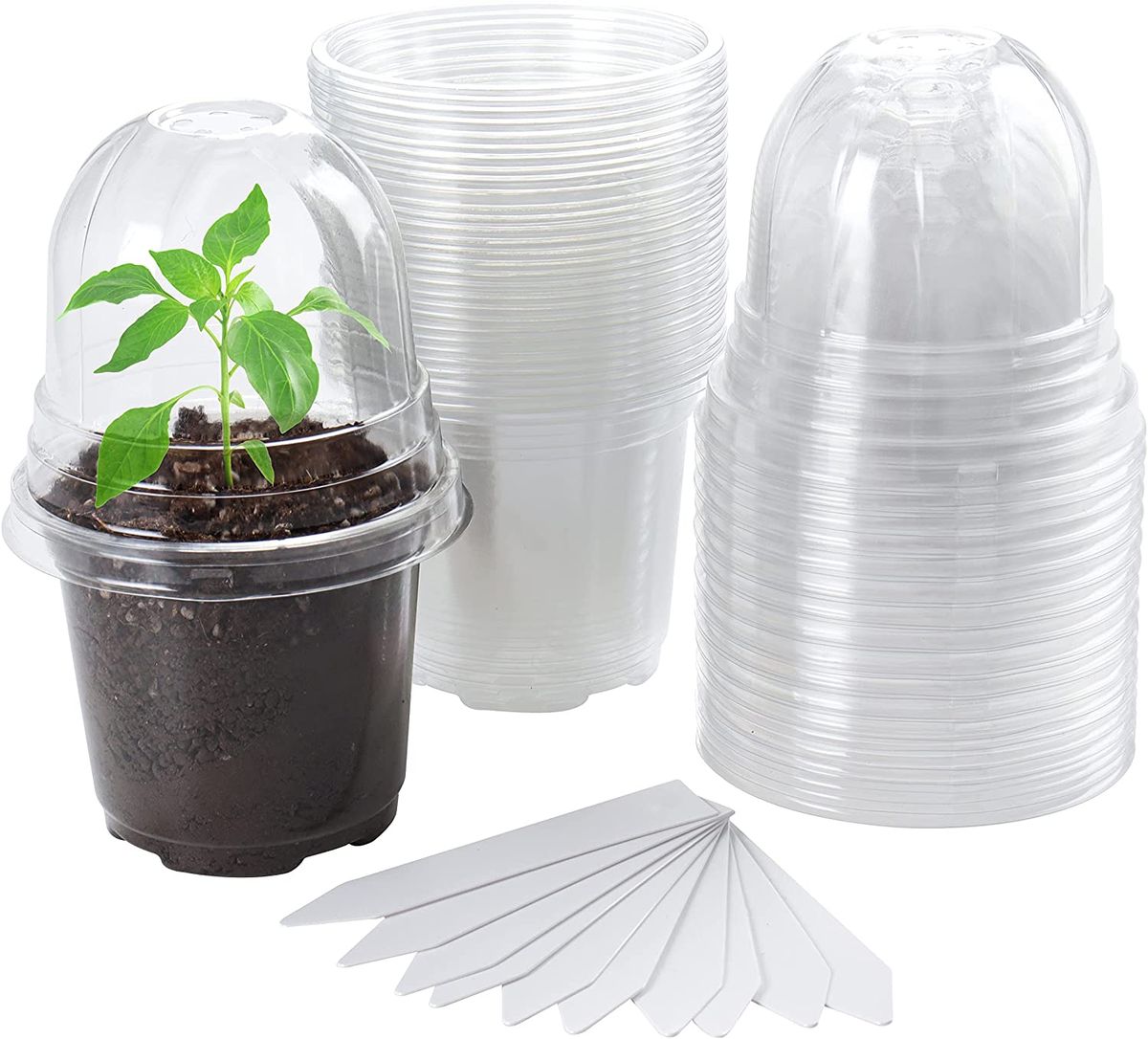 Clear Nursery Pots With Humidity Dome 30 Sets 4