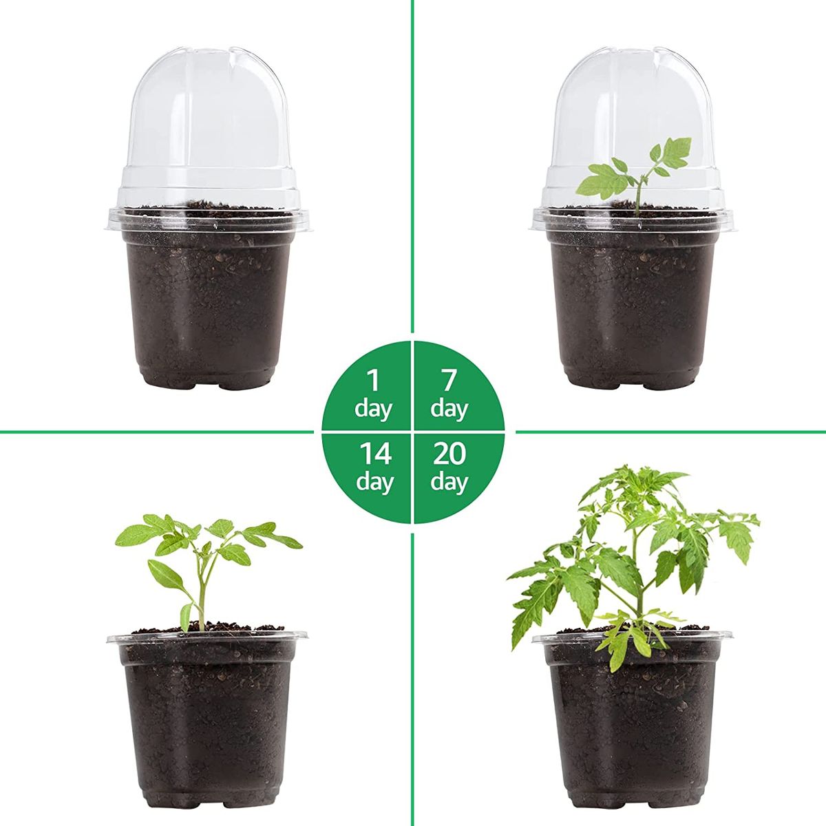 Clear Nursery Pots With Humidity Dome 30 Sets 4"