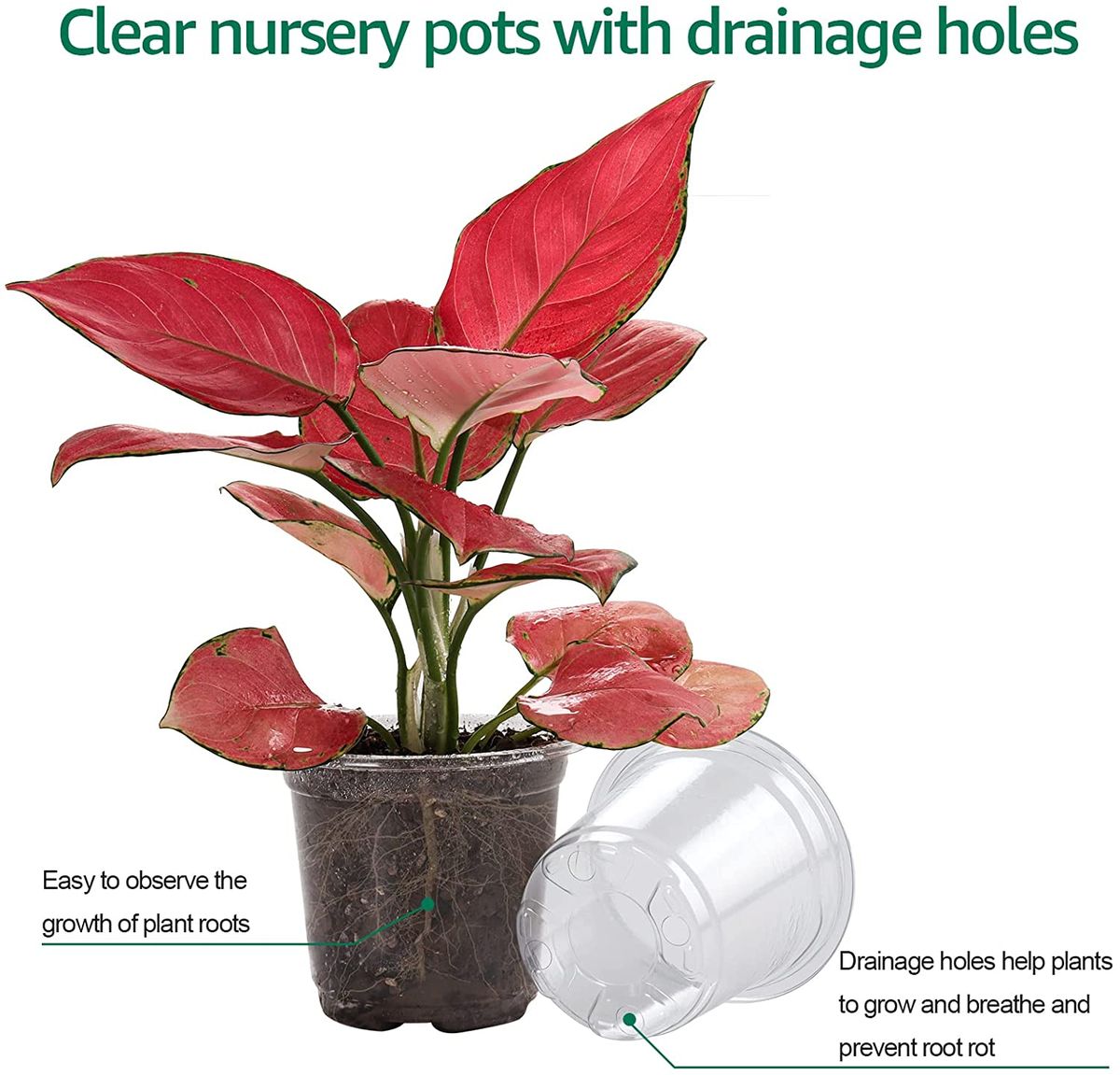 Clear Nursery Pots With Humidity Dome 30 Sets 4"