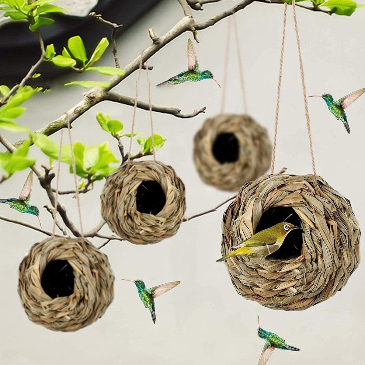 Hanging Bird Hut Outdoor Indoor Small Parrot Hammock