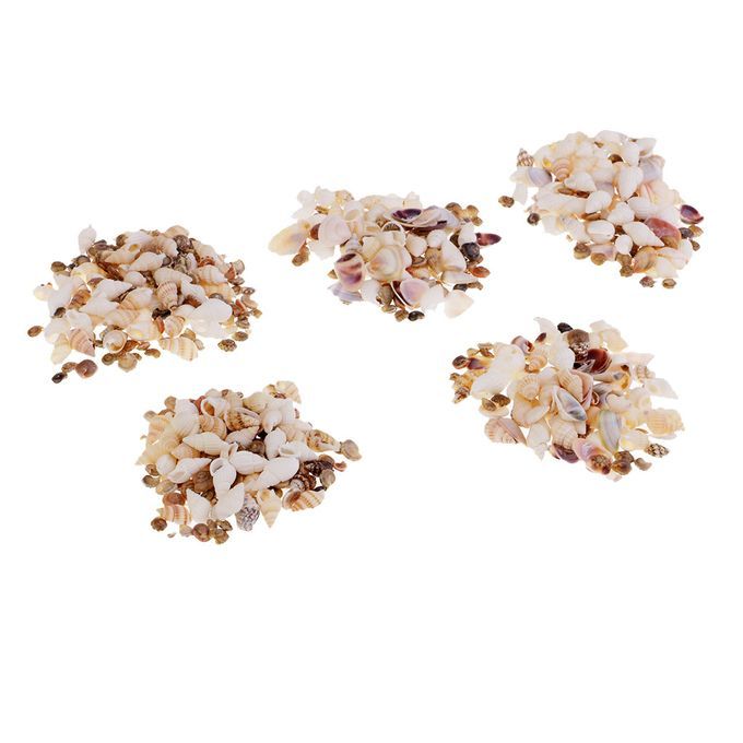 Sea Shell Beach Home Decoration Vase   Tank Filler Resin Resin