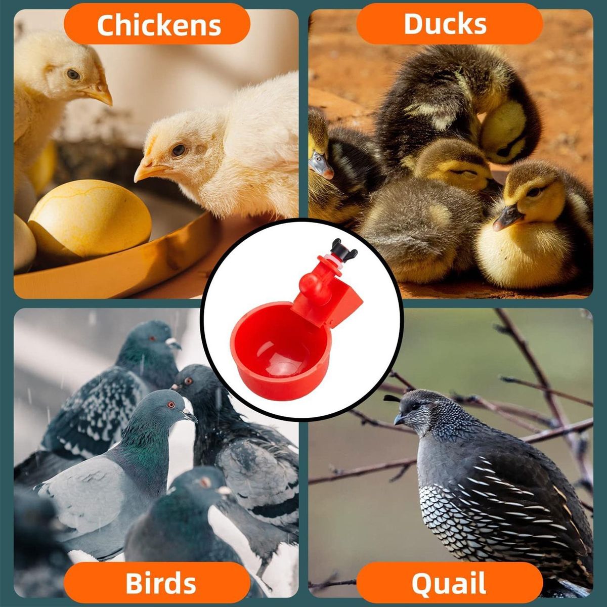 9-pack Automatic Chicken Waterer Cups with Hole Saw Easy for Buckets Red