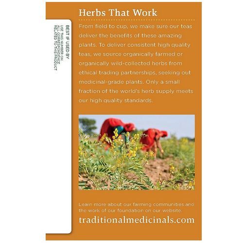 Organic Ginger Aid Herbal Tea,Healthy Digestion 16Wraps