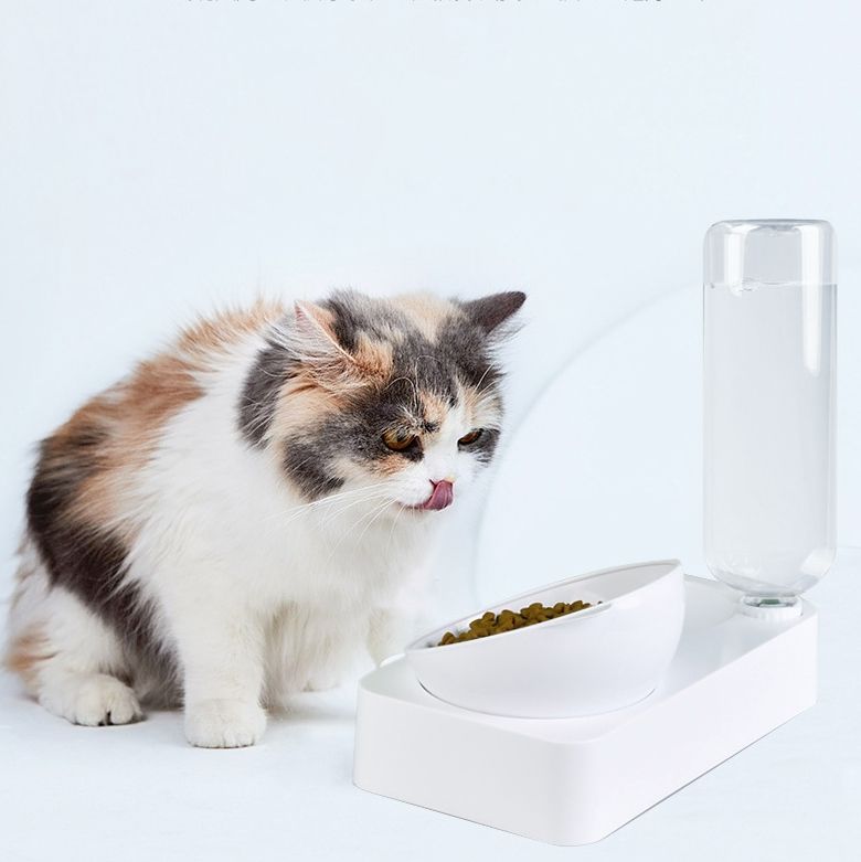 Pet Bowl Anti-tipping Pet Drinking Water Feeding Bowl, Size:Small