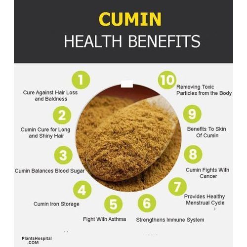 Organic Cumin Seed -100g
