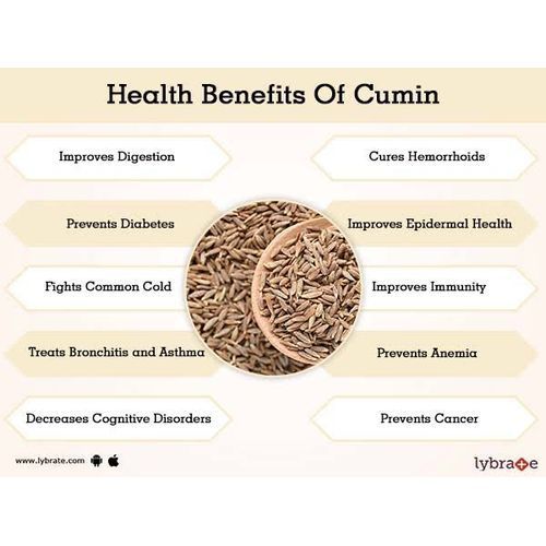 Organic Cumin Seed -100g