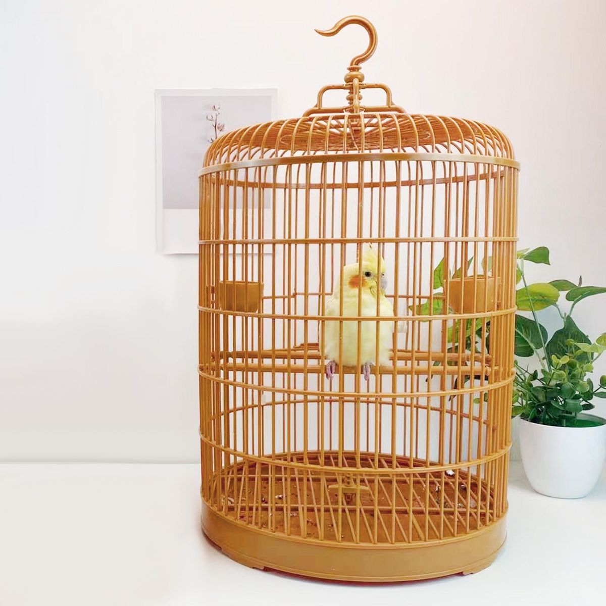 Bird Cage, Bird House With Food Cup, Bird Feeder Parrot