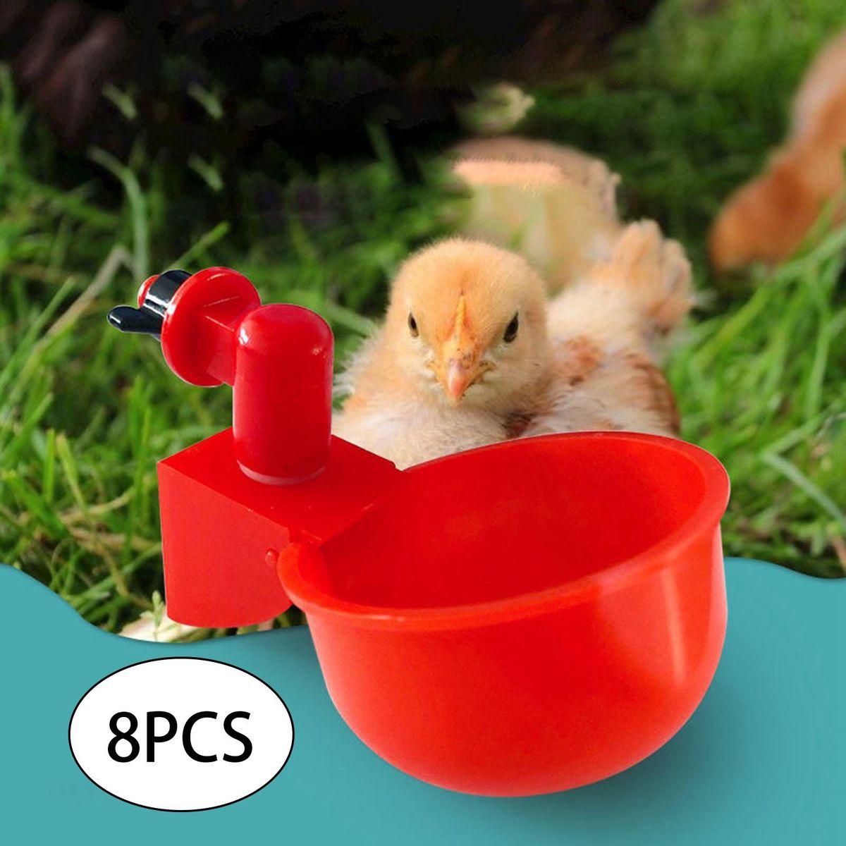 8/12packs Automatic Birds Chicken Drinkers Cups Waterers Chicks Ducks