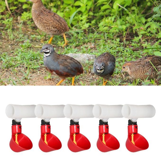 5PCS Automatic Chicken Poultry Drinker Waterer Cups Watering Cups