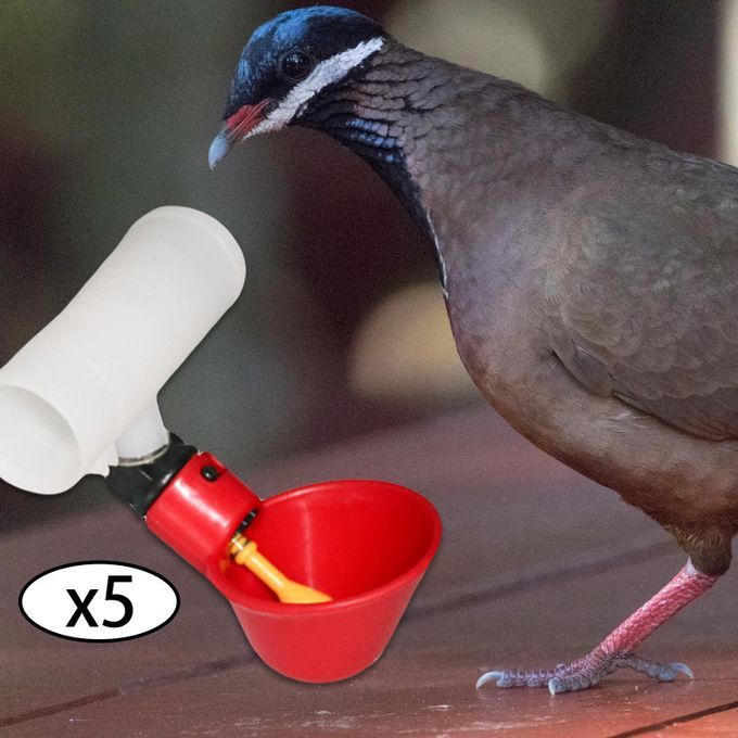 5PCS Automatic Chicken Poultry Drinker Waterer Cups Watering Cups