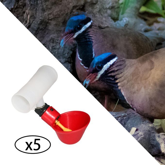 5PCS Automatic Chicken Poultry Drinker Waterer Cups Watering Cups