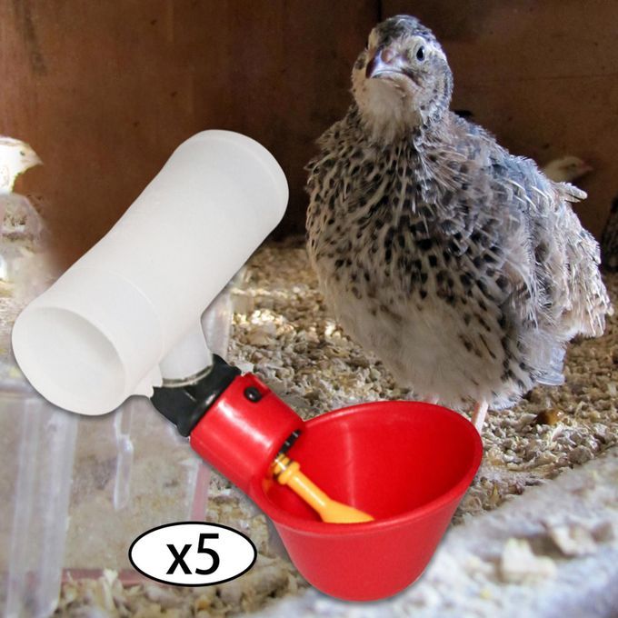 5PCS Automatic Chicken Poultry Drinker Waterer Cups Watering Cups