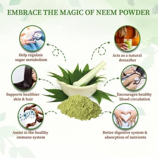 Organic Neem Powder -250g