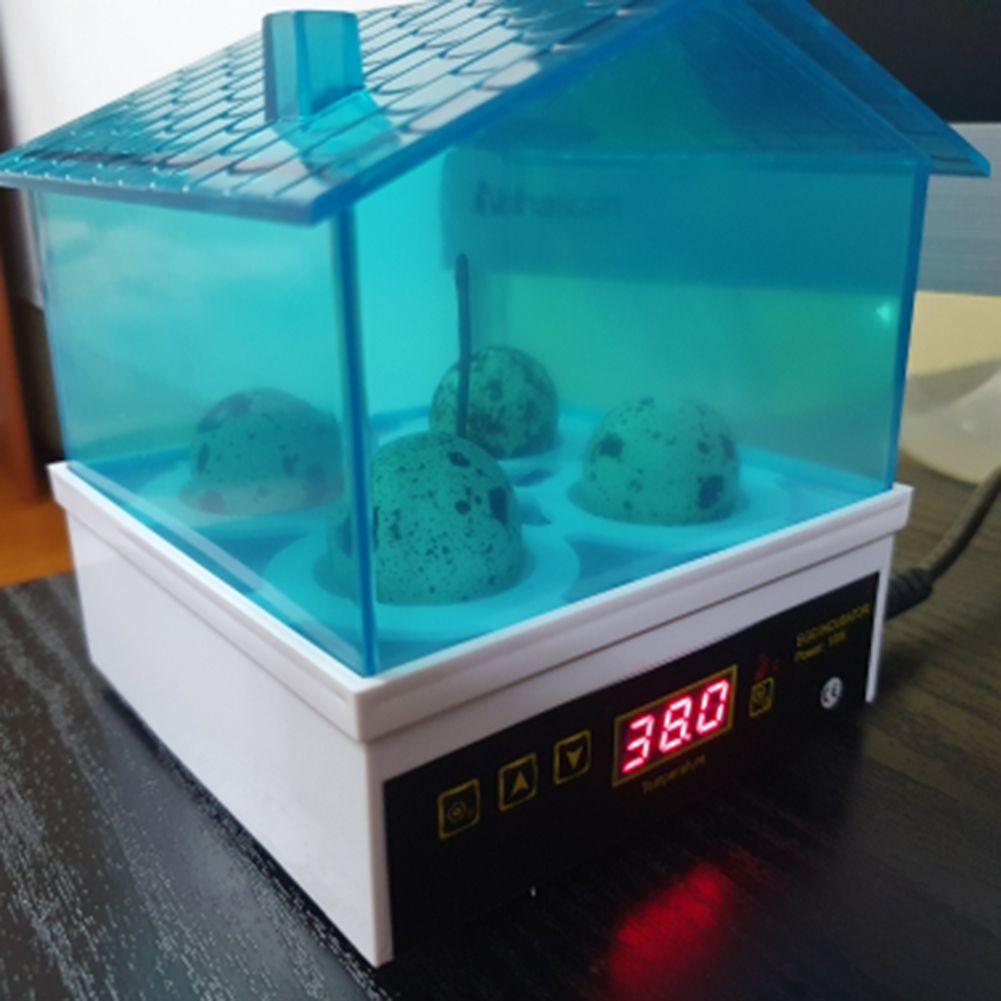 Mini Semi Automatic Duck Goose Incubator Experiment LED