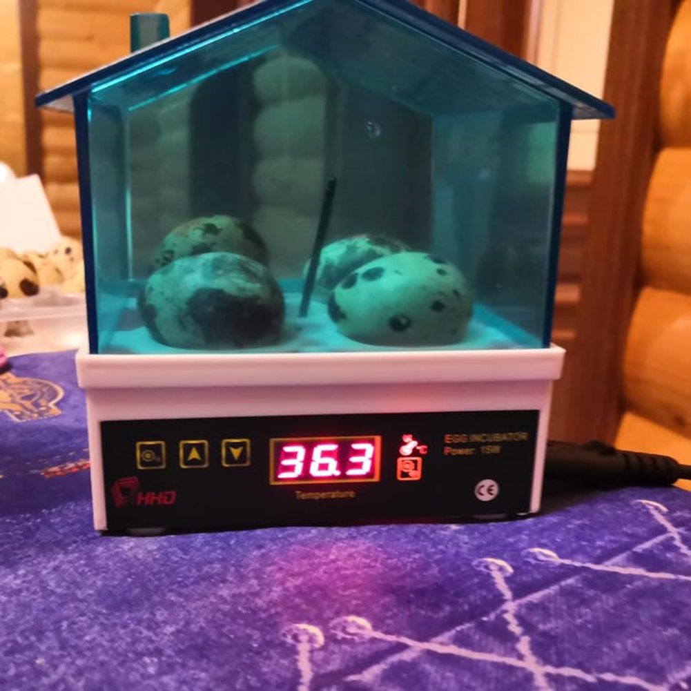 Mini Semi Automatic Duck Goose Incubator Experiment LED