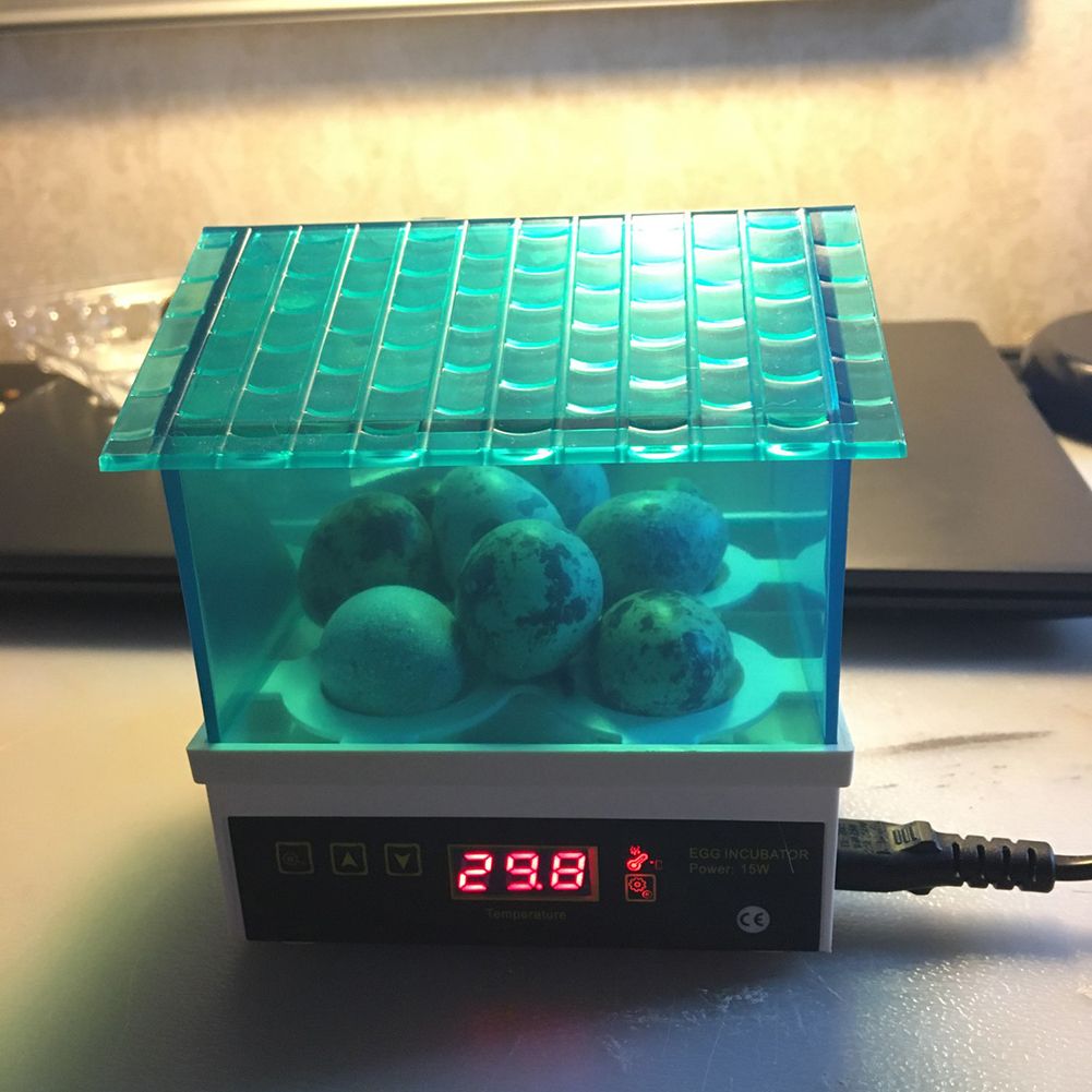 Mini Semi Automatic Duck Goose Incubator Experiment LED