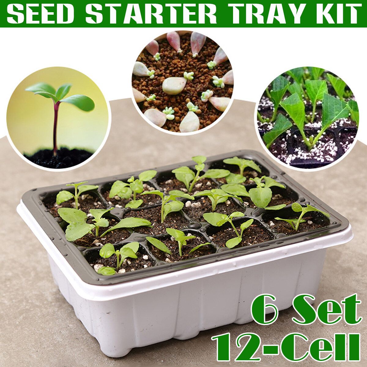 6Set 12-Cell Seedling Starter Tray Kit Plant Propagation Tray For Succulent