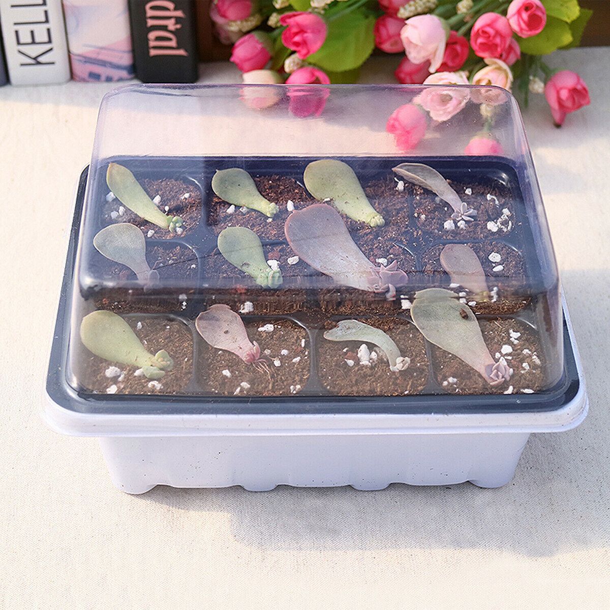 6Set 12-Cell Seedling Starter Tray Kit Plant Propagation Tray For Succulent