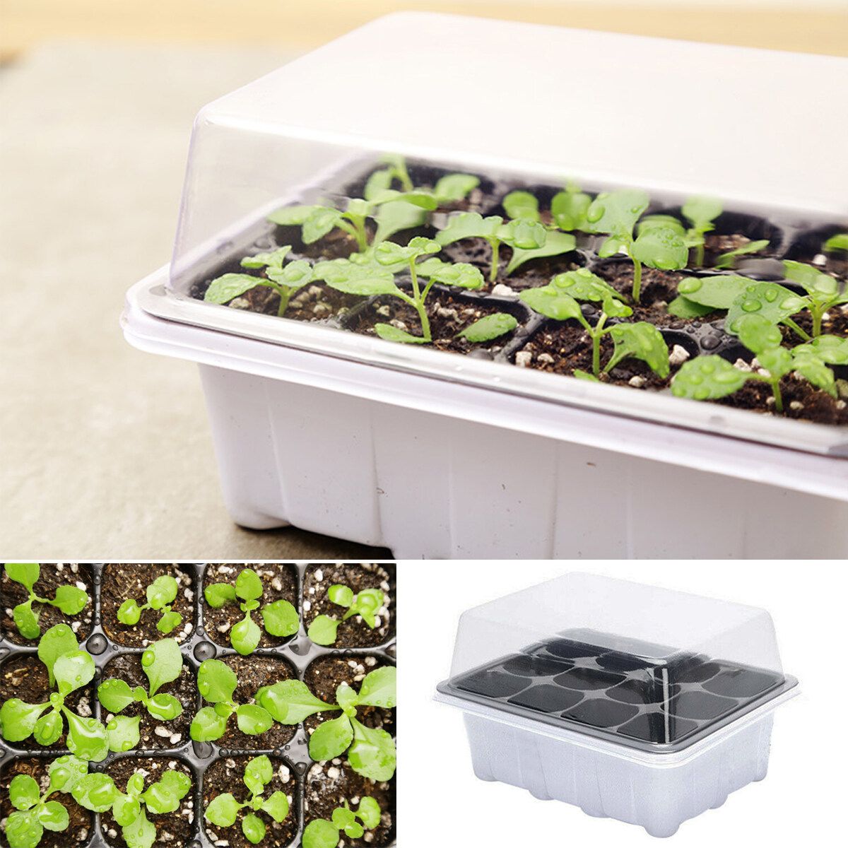 6Set 12-Cell Seedling Starter Tray Kit Plant Propagation Tray For Succulent