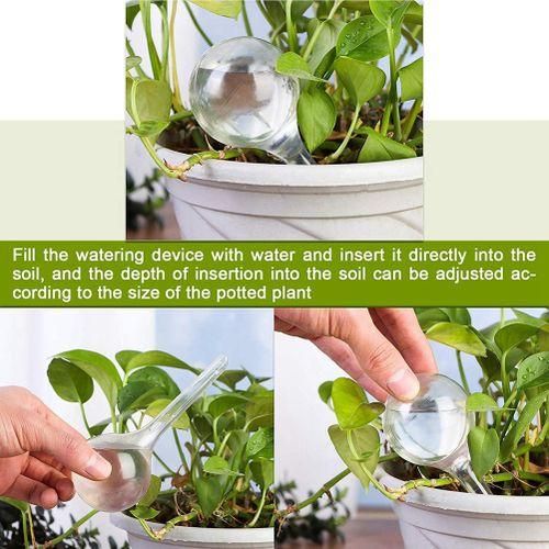12 Pieces Watering Globe Set, PP Watering Bulbs