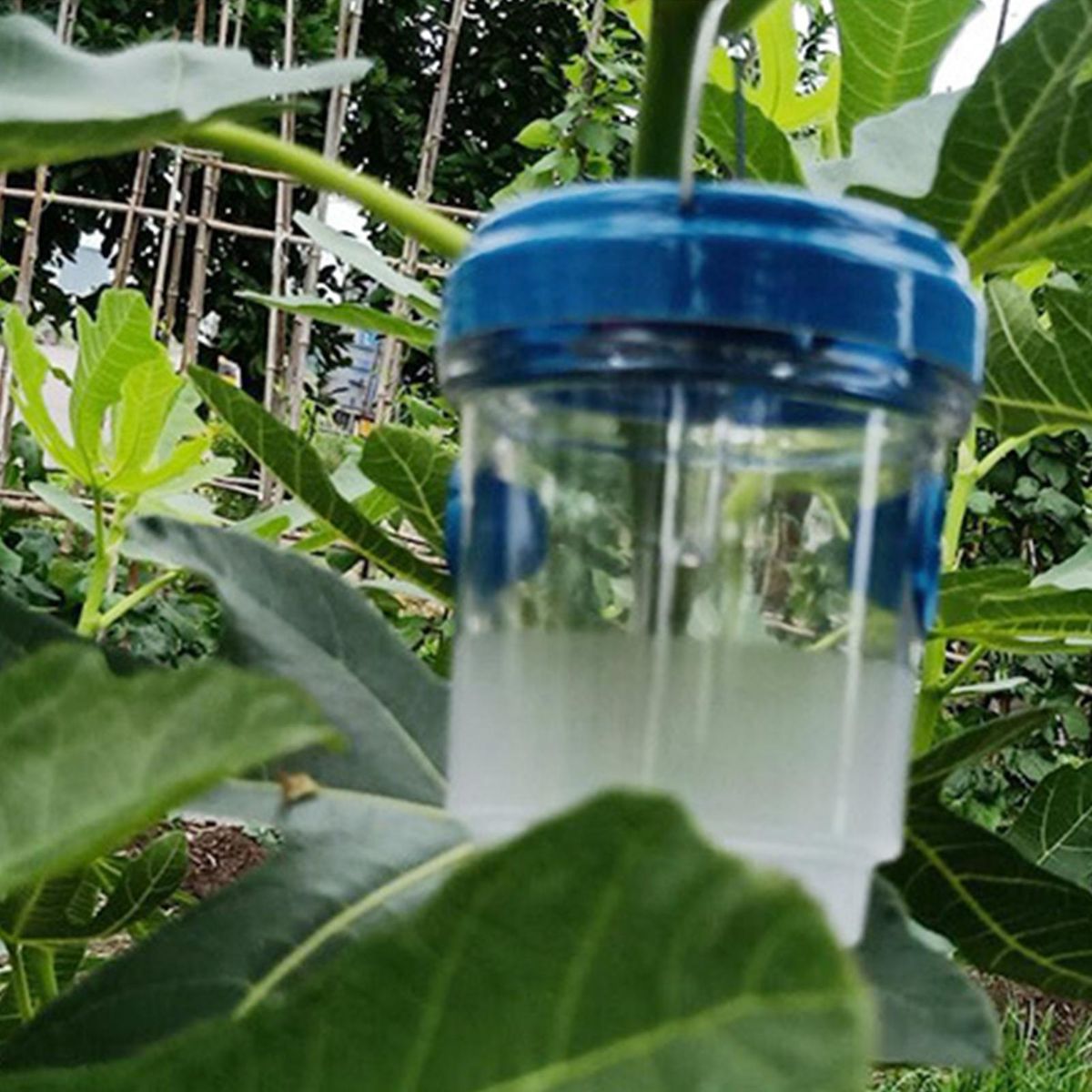 Bee Bait Trap Solar-powered Orchard Farm Bee Trap Blue
