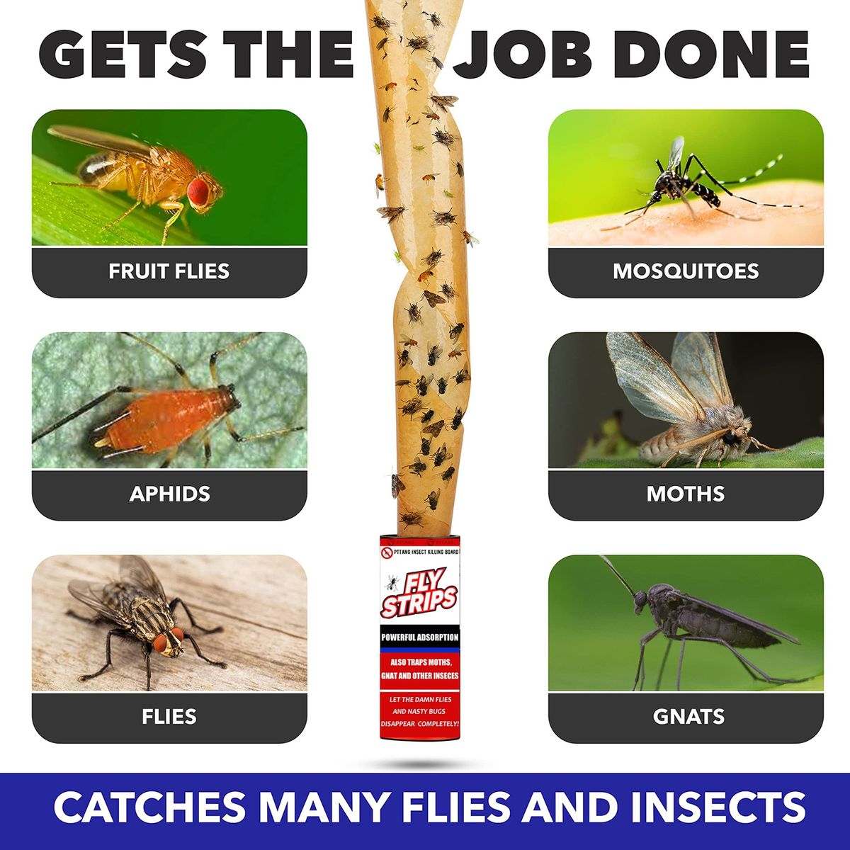 Flies Sticker Long Lasting Effect Flies Sticker Mix Color
