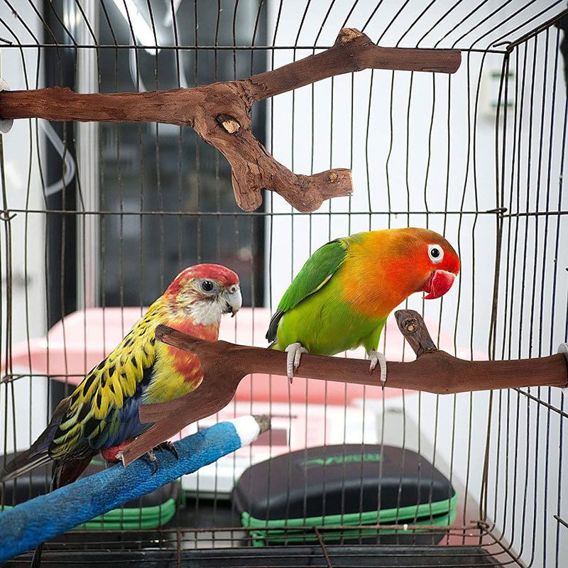 Parrot Supplies Grape Wood Stand Stick Stand Stick Bird