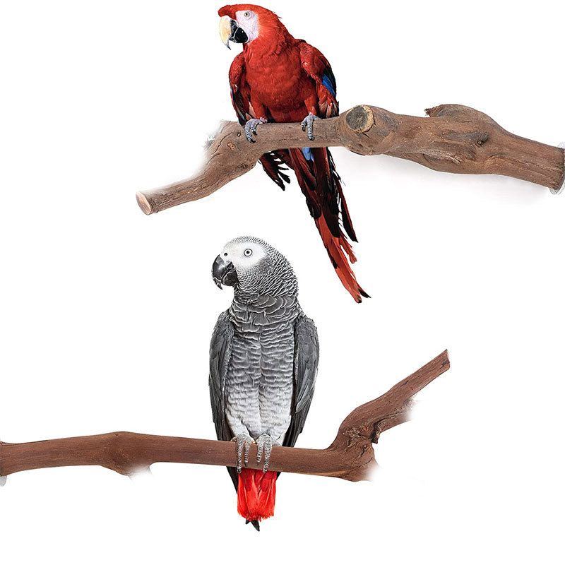 Parrot Supplies Grape Wood Stand Stick Stand Stick Bird