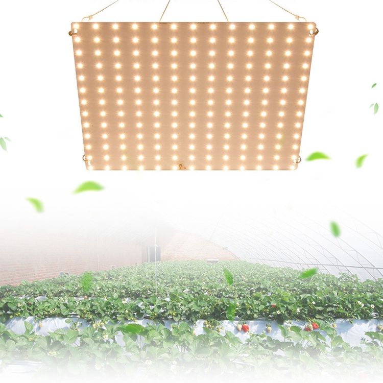LED Plant Growth Light D2 25W 81 Beads US Plug
