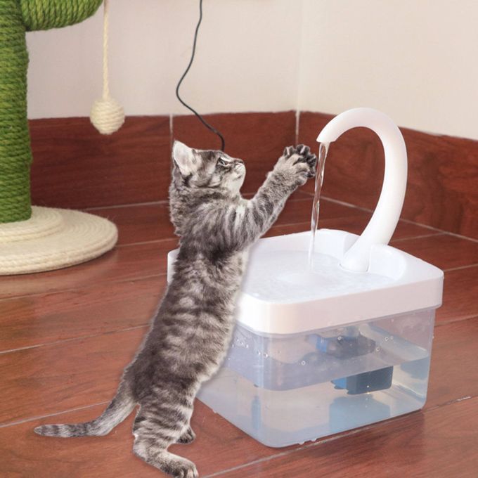 Cat Water Fountain LED Dog Silent Water Dispenser Healthy Drink Normal