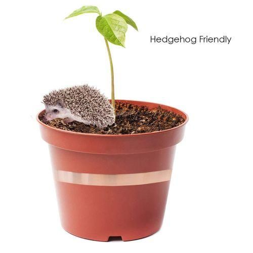 2Pcs Snack-Proof Copper Belt 20M Roll Garden