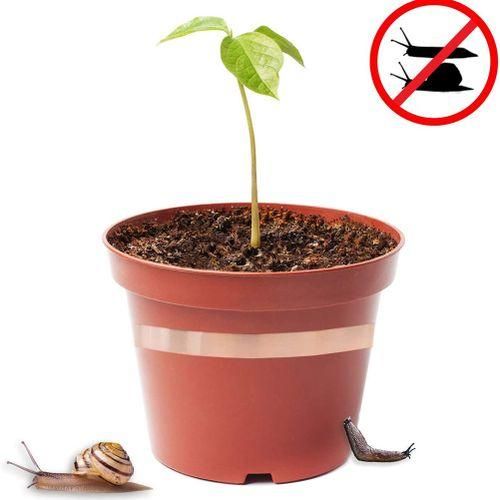 2Pcs Snack-Proof Copper Belt 20M Roll Garden