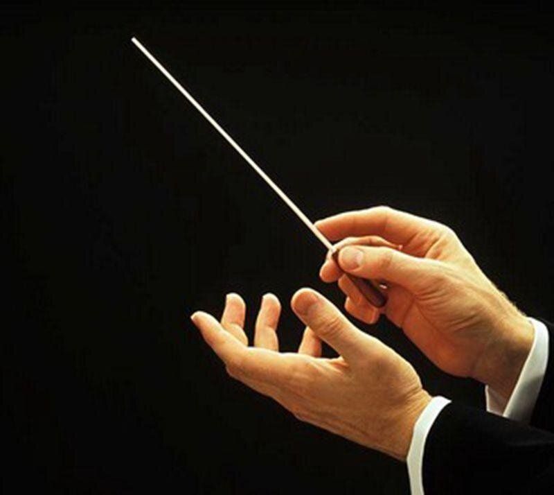 Concert Baton Rhythm Director Band Conductor Resin Baton 36cm Long