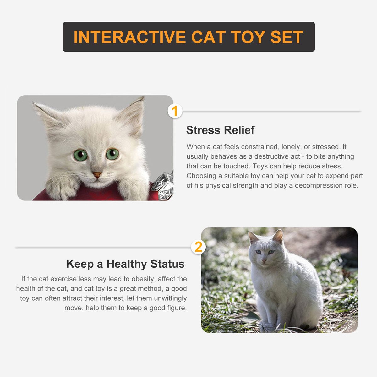 12PCS Cat Toy Interactive Pets Toys Variety Pack Set