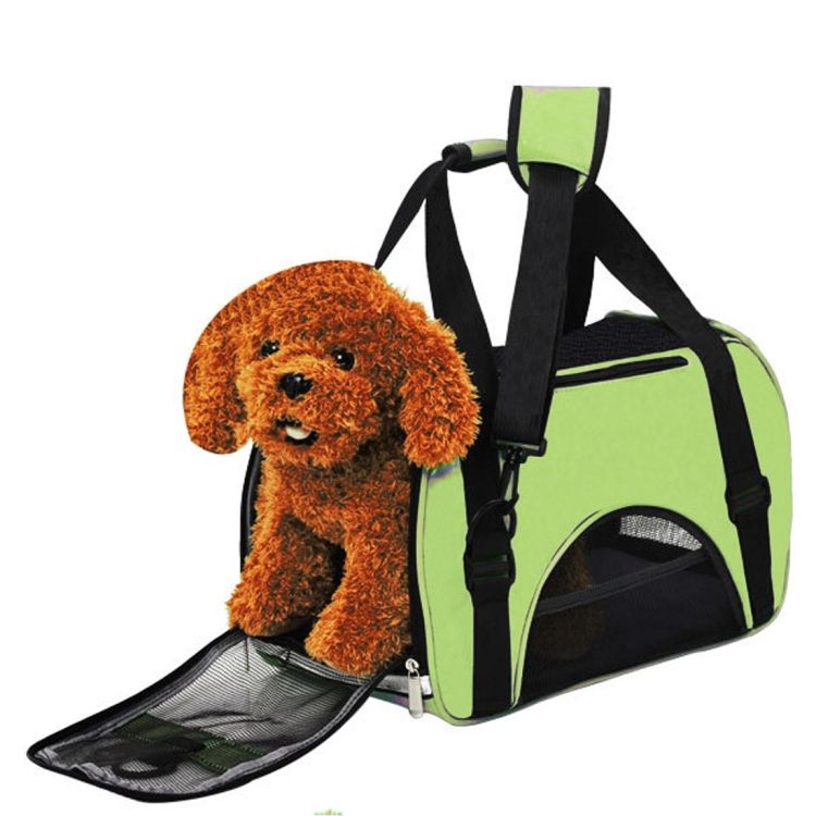Pet Handbag