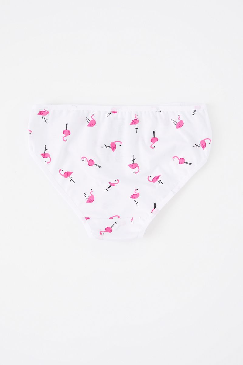 3 Piece Set Girl Underwear Regular Fit Slip -Multicolor